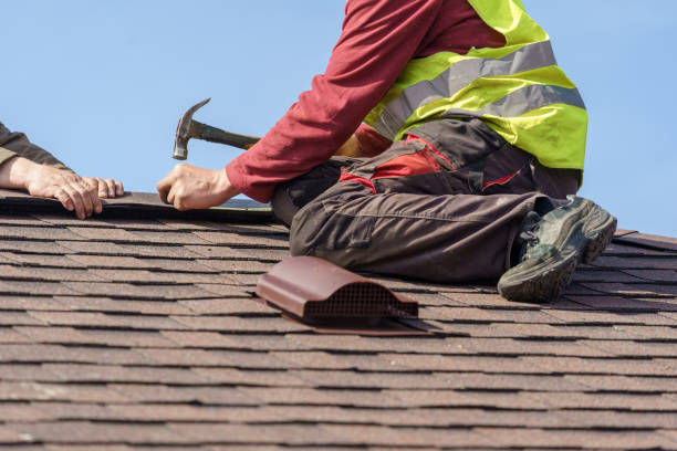 Best Roof Gutter Cleaning  in Cohoe, AK