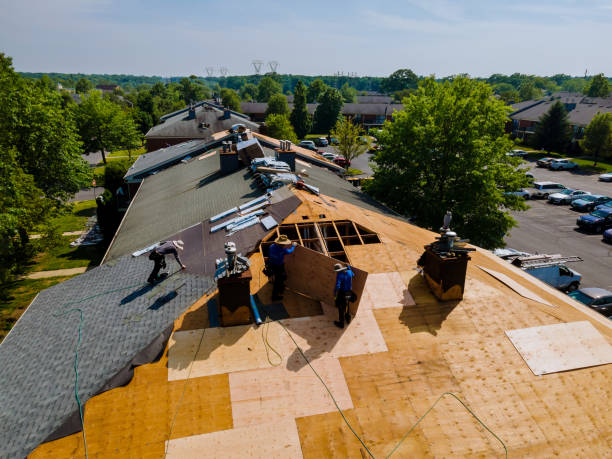 Best Storm Damage Roof Repair  in Cohoe, AK