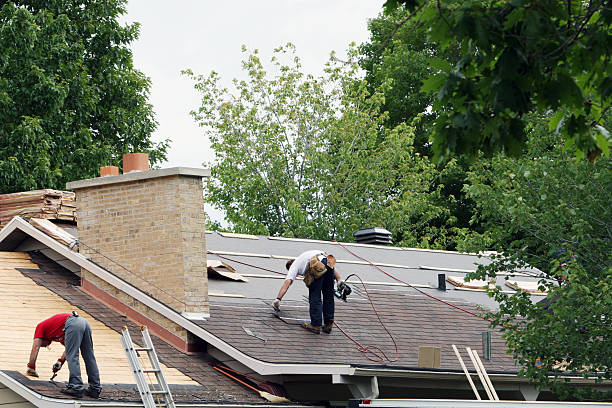 Roof Gutter Cleaning in Cohoe, AK