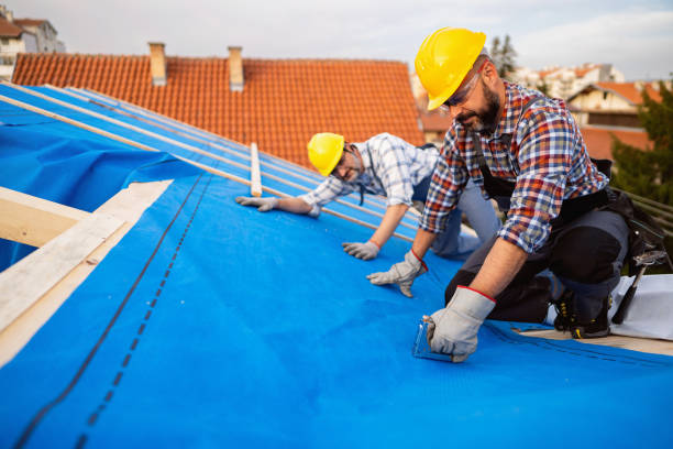 Residential Roof Replacement in Cohoe, AK