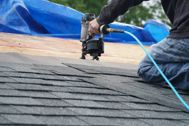 Best Residential Roof Replacement  in Cohoe, AK