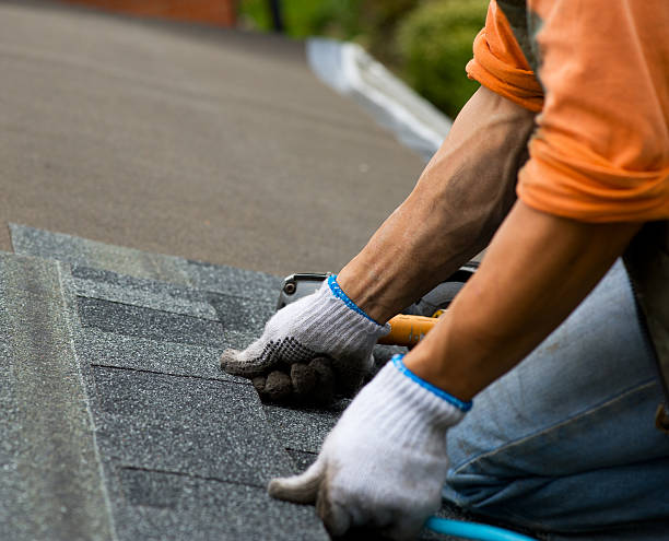 Best Gutter Installation and Roofing  in Cohoe, AK