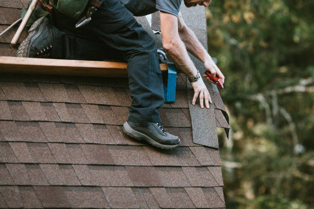 Best Roof Gutter Cleaning  in Cohoe, AK