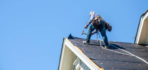 Best Shingle Roofing Installation  in Cohoe, AK